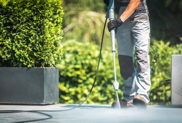 Best Driveway Pressure Washing  in Norman Park, GA